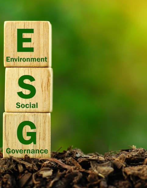 Stratégie ESG et parties prenantes