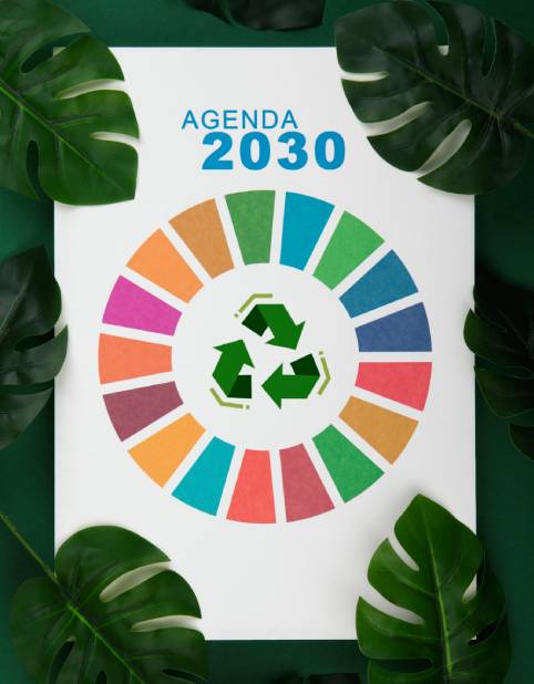 Rapport de développement durable