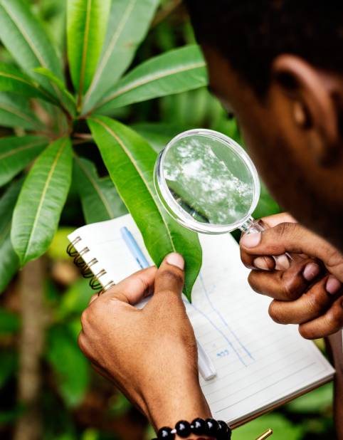 Étude d’impact environnemental et social